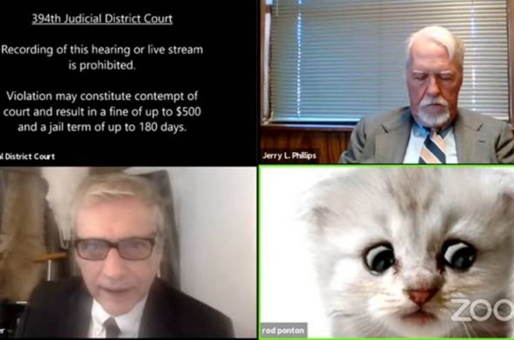 zoomcat.jpg