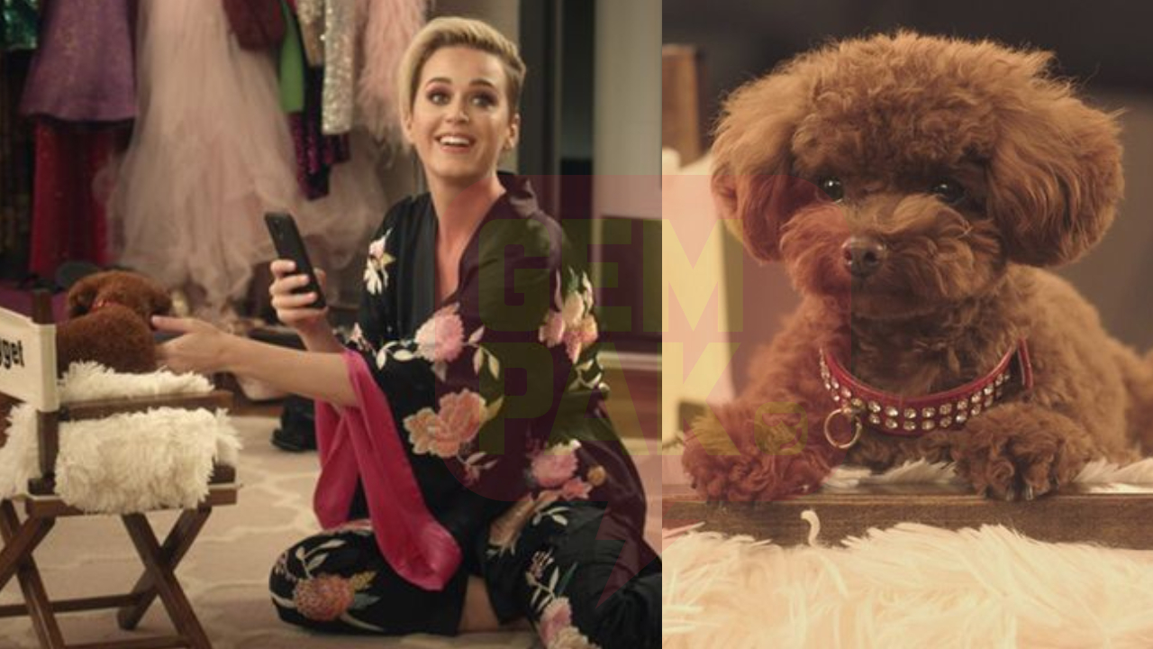 katy-nugget-header.jpg