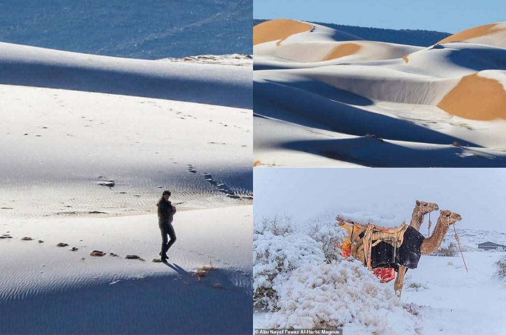 sahara.jpg
