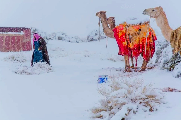 Abu Nayef Fawaz Al-Harbi/ Magnus News It's snowing in Tabuk.