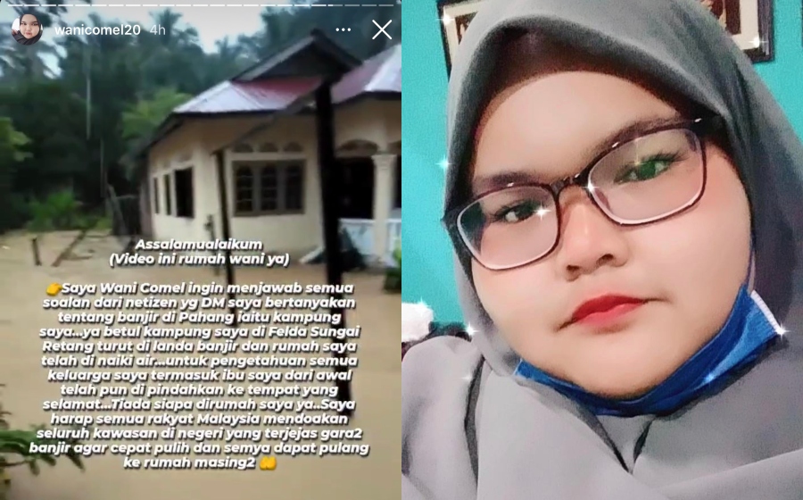 wani-(1).jpg