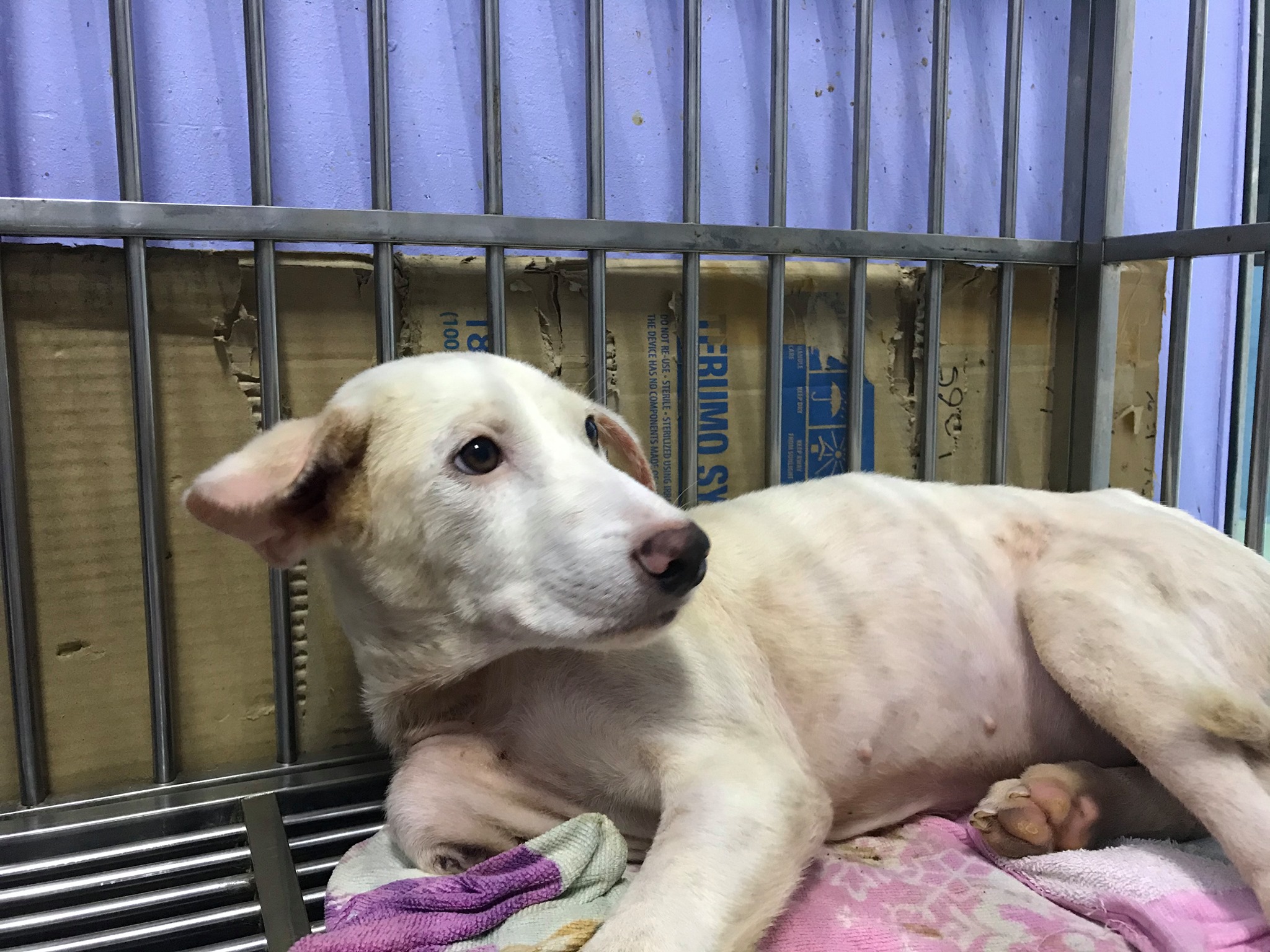 The home needs funds urgently.