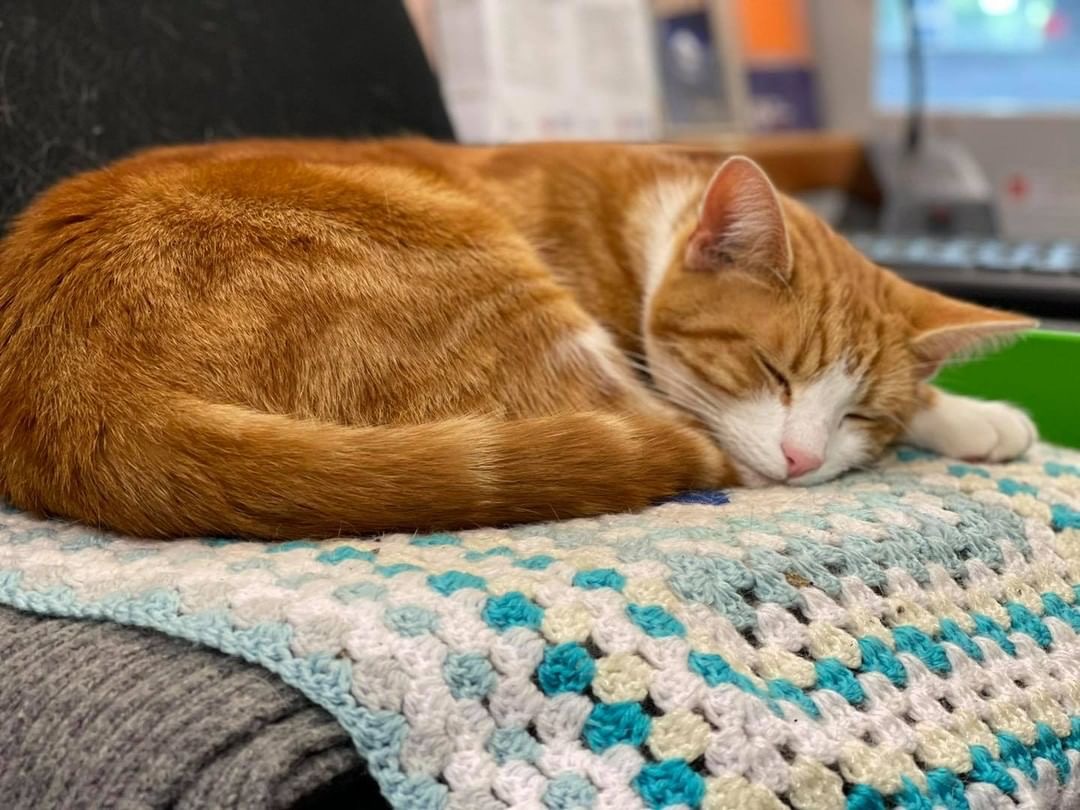 Work hard, rest harder.