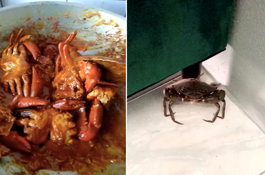 crabby.jpg