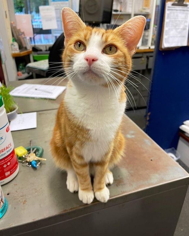 At attention!