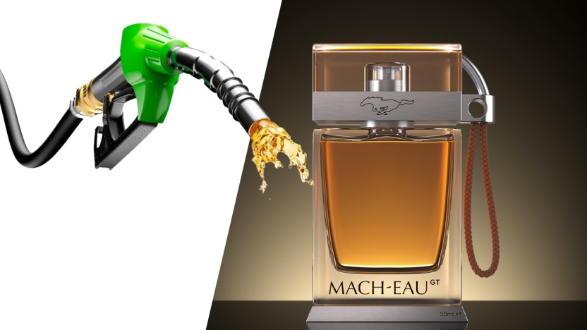 ford_mach-eau_mi.jpg