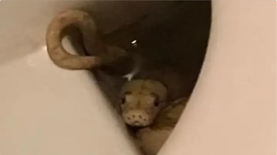 Hello there!