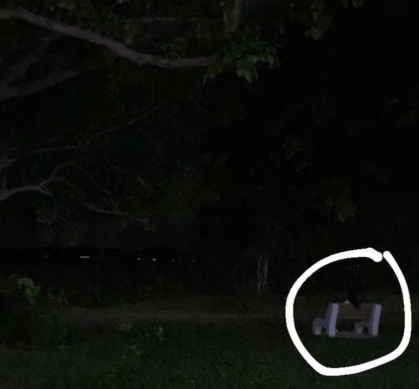 Why is she there alone?