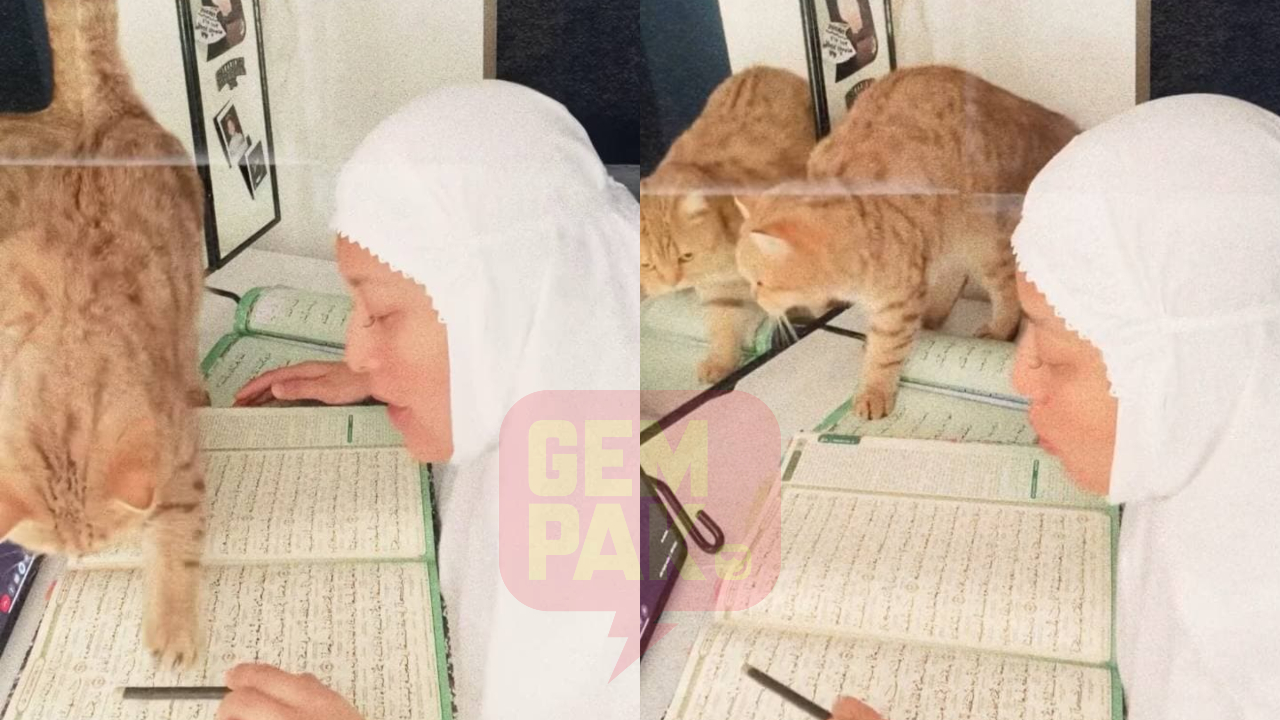 abil-quran-header.jpg