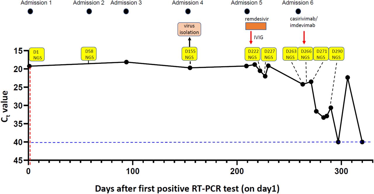 Clinical and sampling timeline.