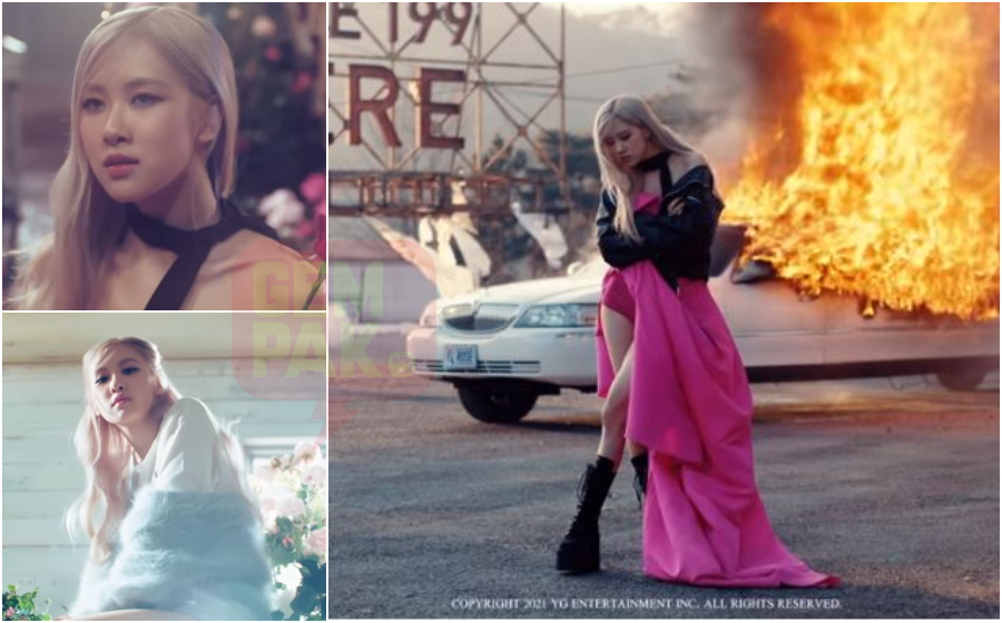 rose-blackpink-on-the-ground.jpg