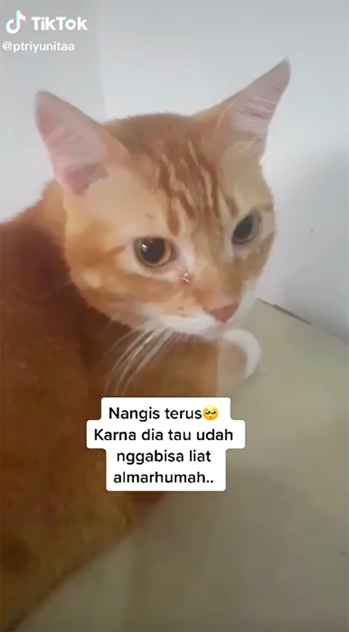 TikTok/@ptriyunita Tears of sadness.