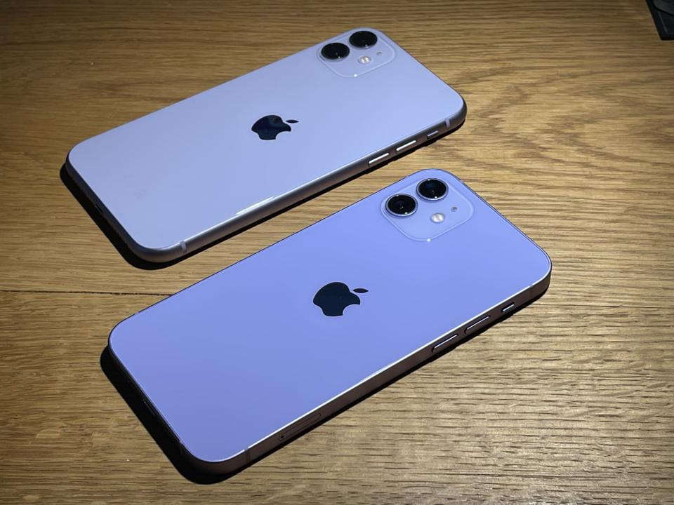 David Phelan/Forbes iPhone 11 purple vs iPhone 12 purple.
