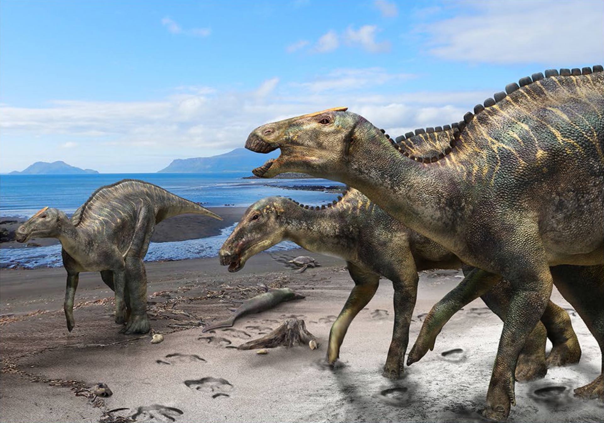 Hello, meet Japan's new dinosaur.
