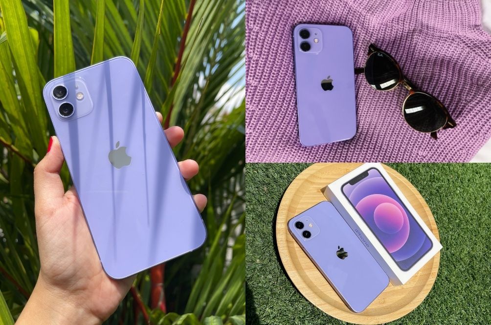 purrple.jpg