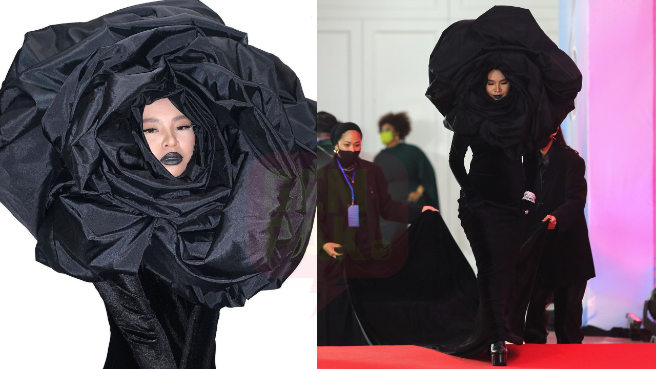 aina-redcarpet.png