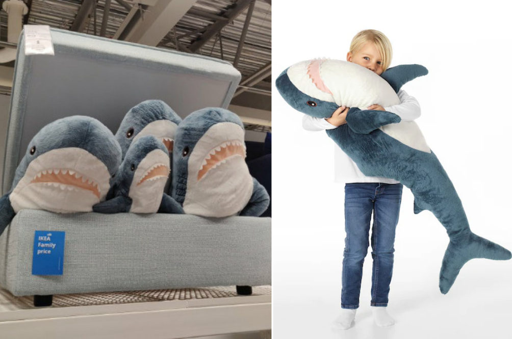 shark.png
