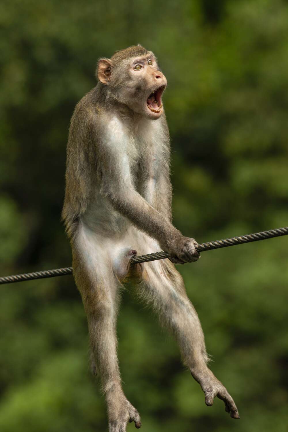 We feel the little guy's pain!