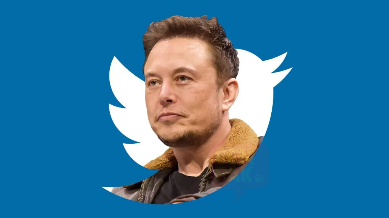 elon-header.jpg