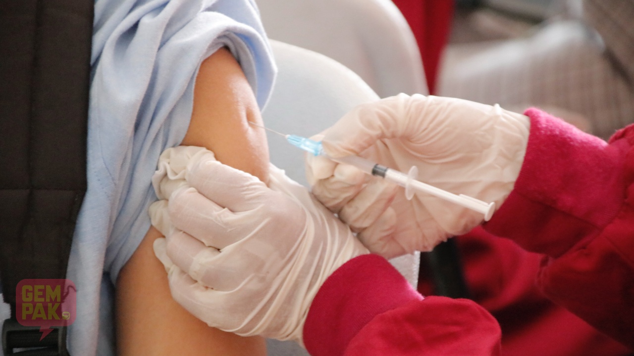 vaccfe.jpg