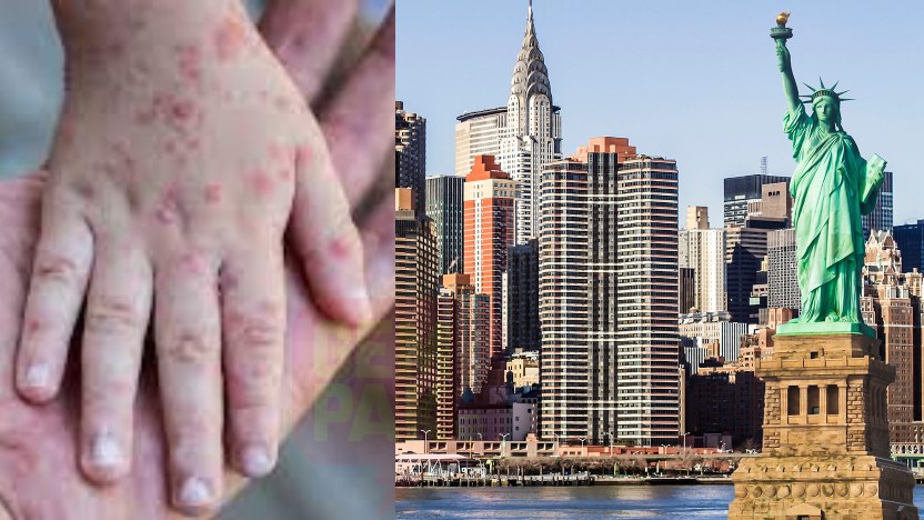 cacarmonyetnewyork.jpg