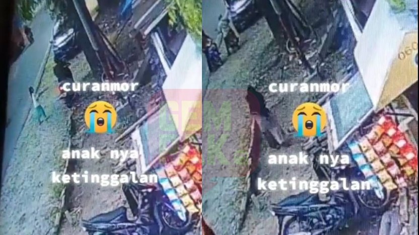 curimotor.jpg