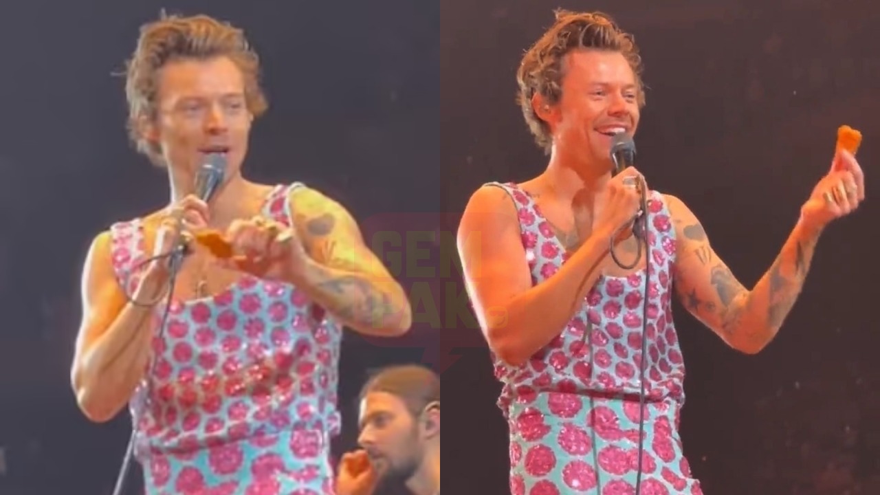 harry_nugget_header.jpg