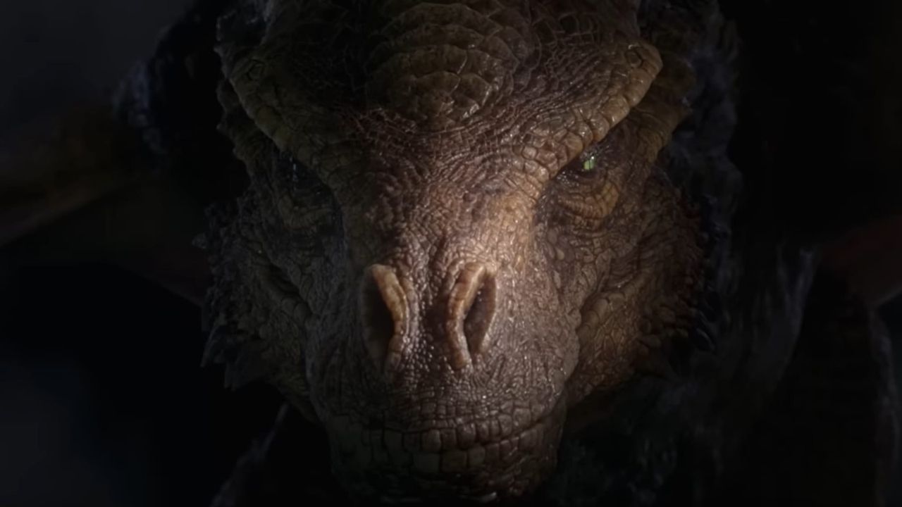 new dragon in hotd