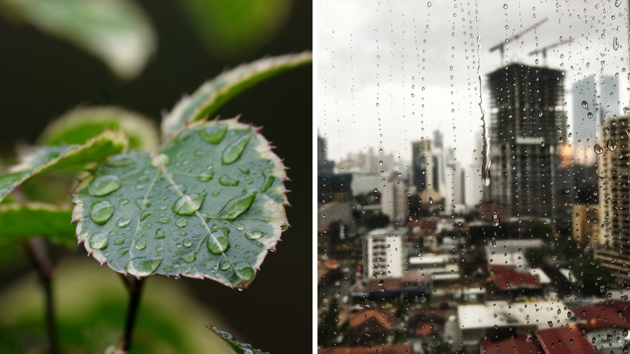 rainy-season-malaysia.png