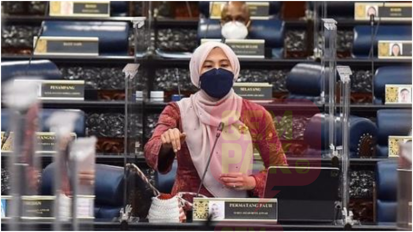 nurul-izzah-positif-covid-19.jpg