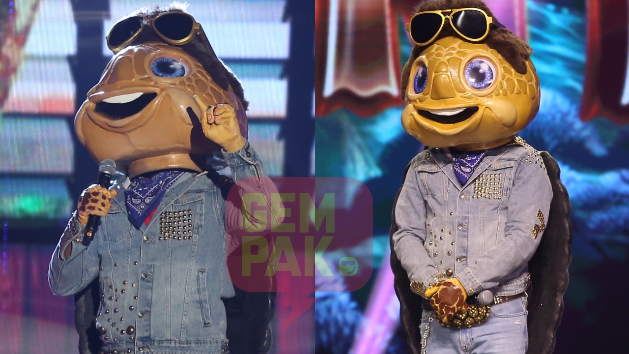 tmsm2-mat-penyu-achey.jpg