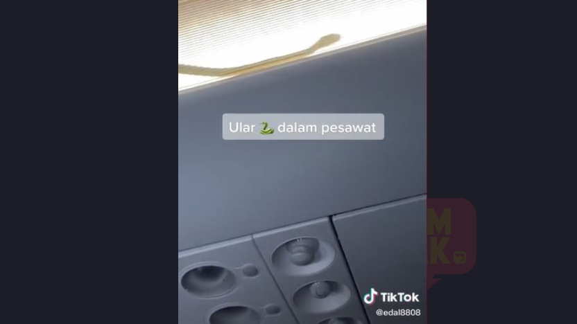 ular-dalam-flight.jpg