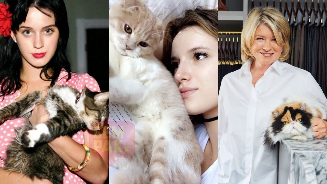 kucing2fe.jpg