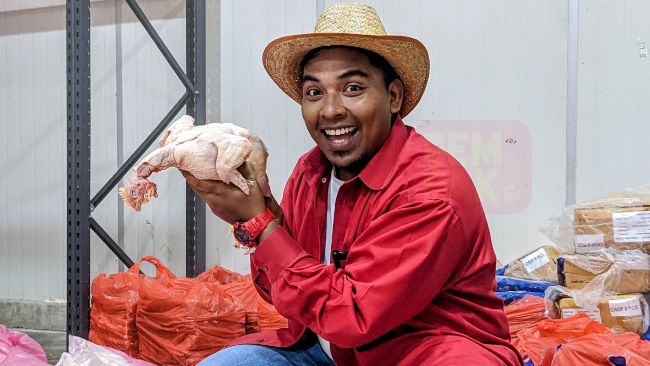 ali-ayam-header.jpg