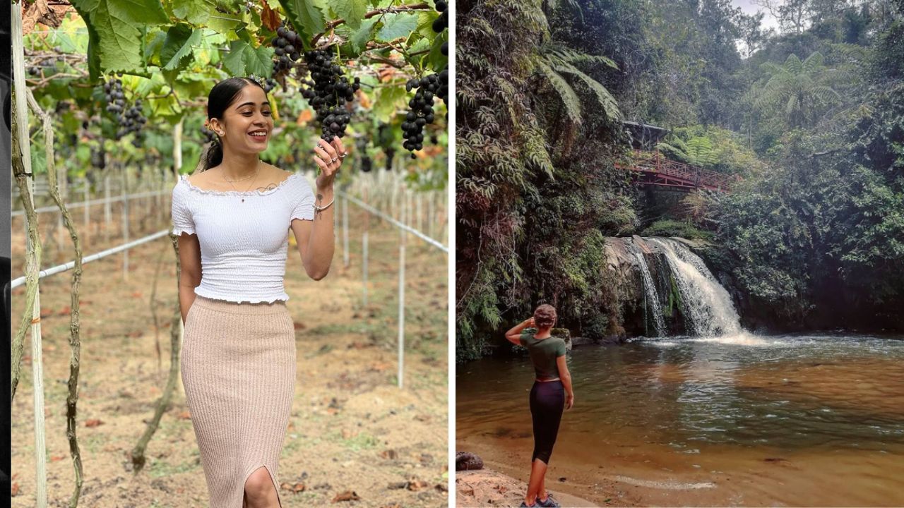hidden-gems-in-cameron-highlands.jpg