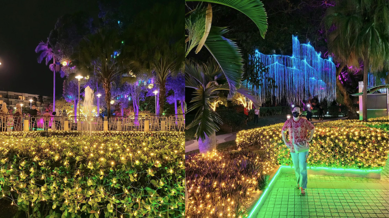 LED lights on trees in putrajaya
