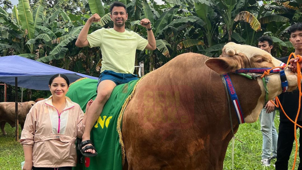 raffi-lembu-header.jpg