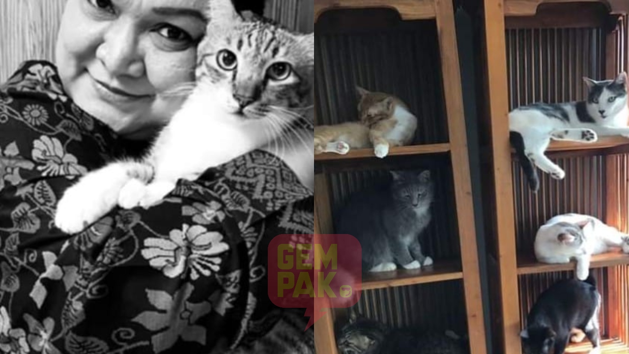 adibah-noor-kucing.jpg