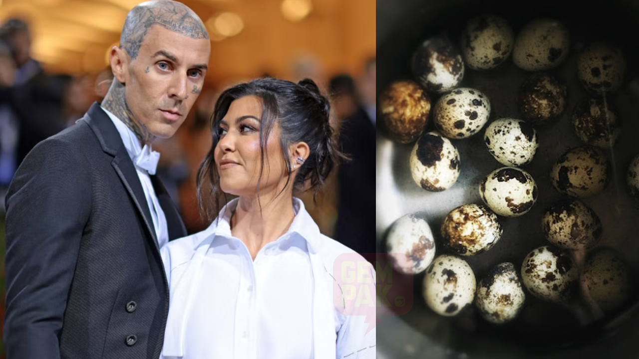 kourtney-puyuh-header.jpg