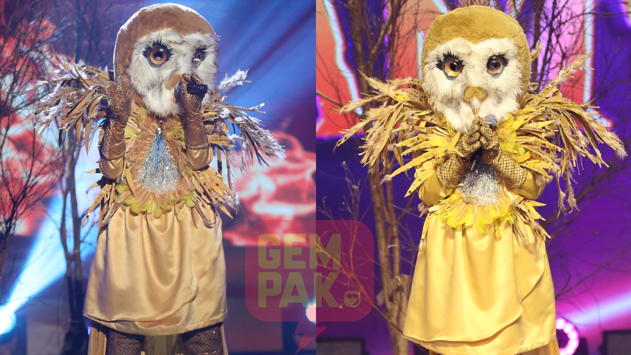 tmsm2-burung-hantu-best-final.jpg