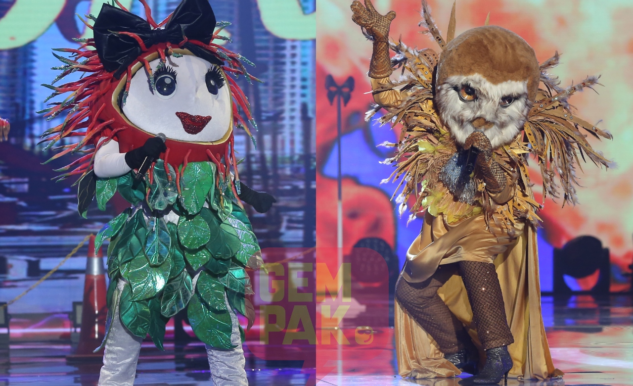 tmsm2-separuh-akhir-rambutan-burung-hantu.jpg