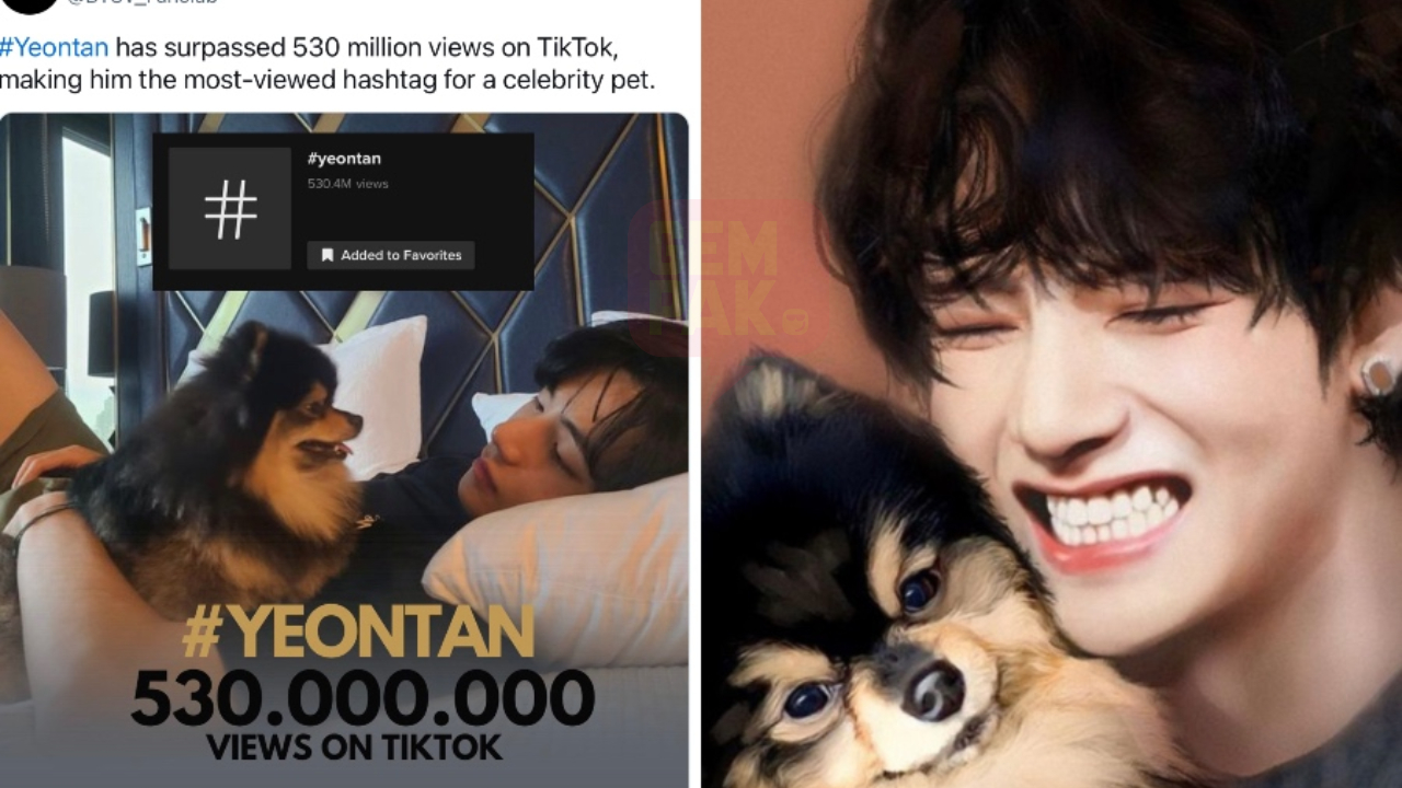 anjing-v-header.jpg