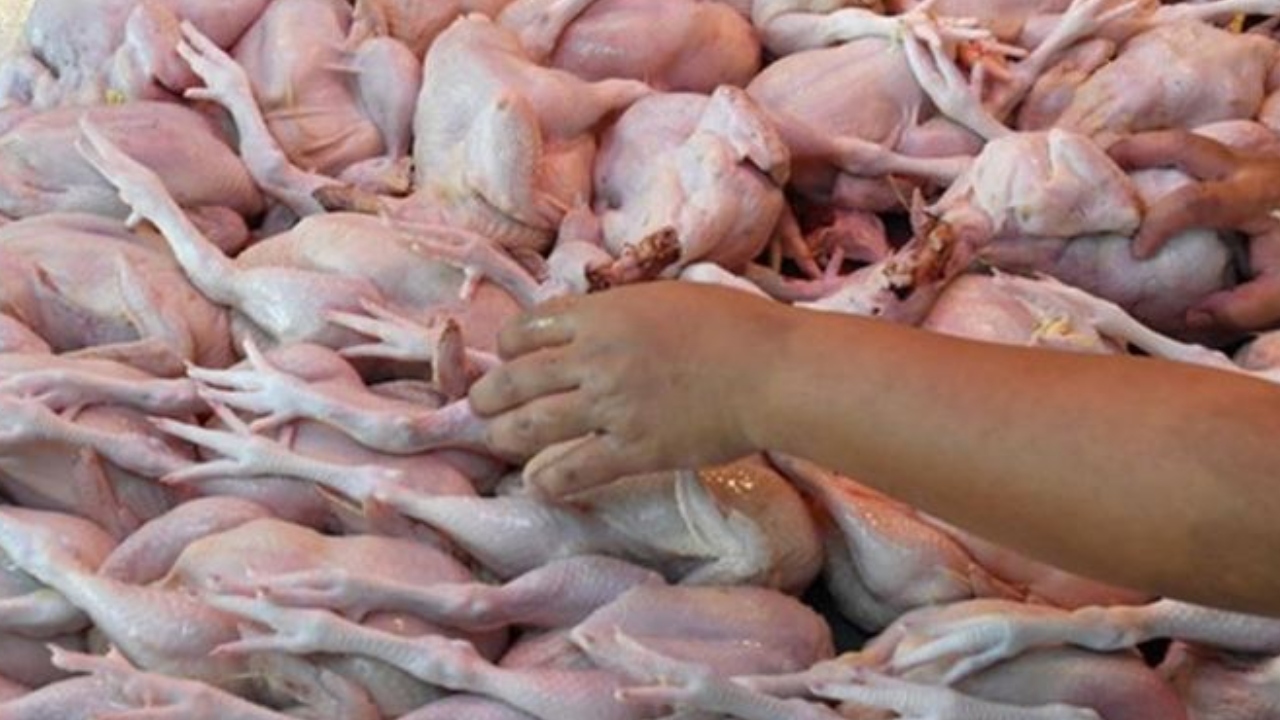 ayam-naik-harga.jpg