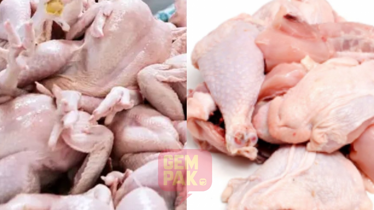 ayam-susah-nak-dapat.jpg