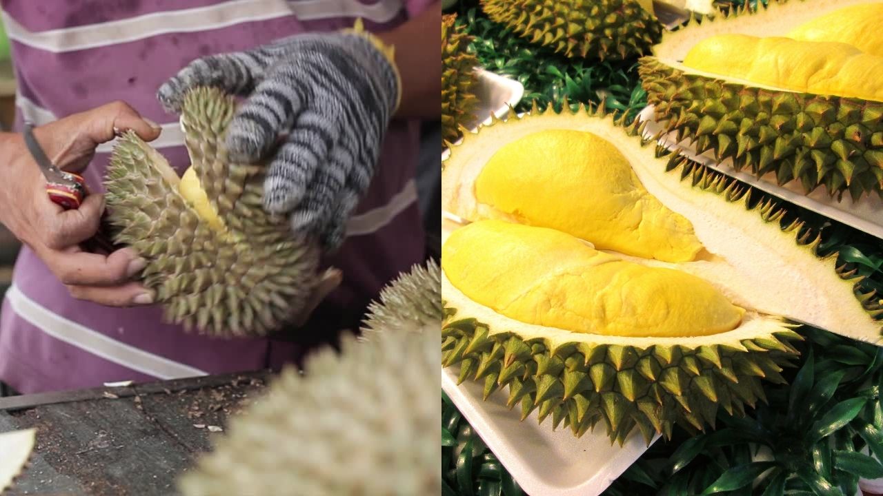 durian_1.jpg