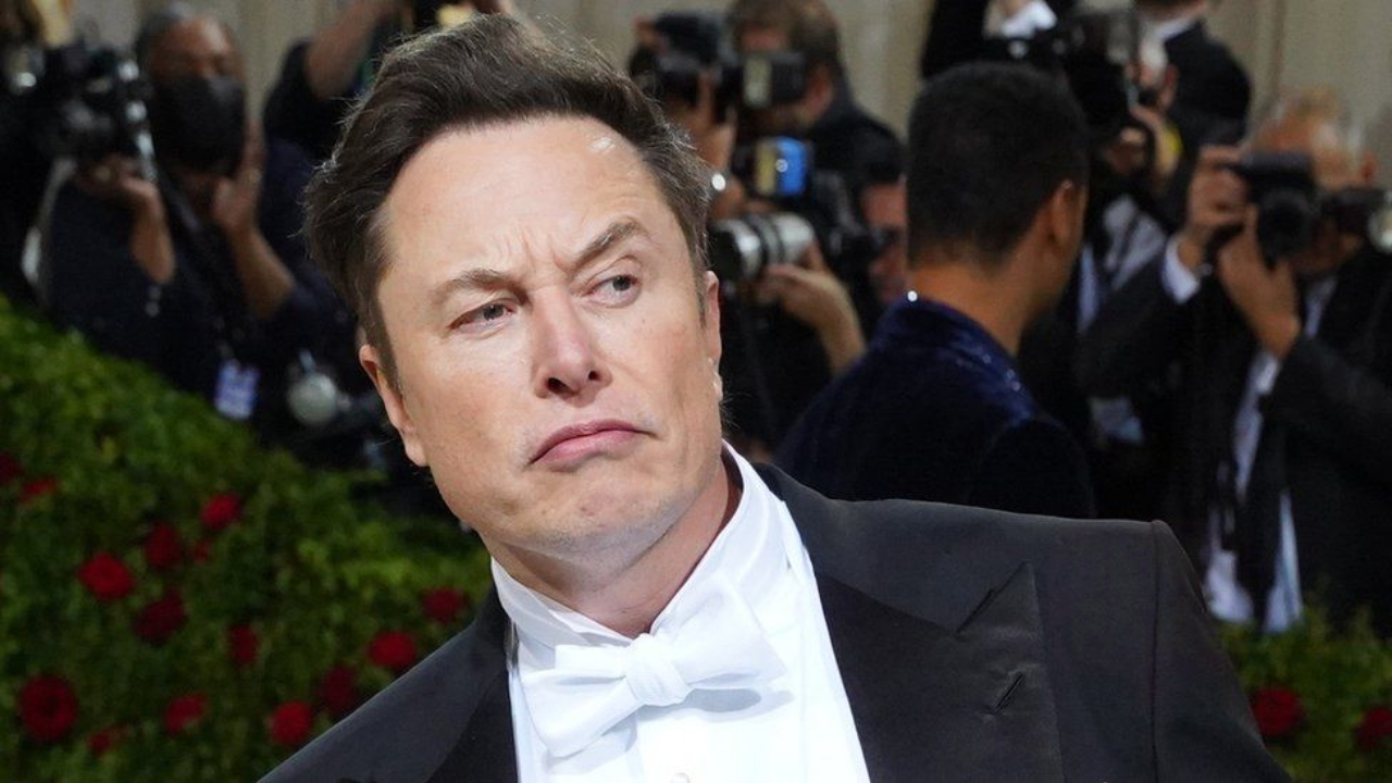 elon-header-(1).jpg