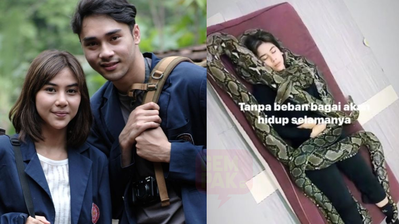 widya-header.jpg