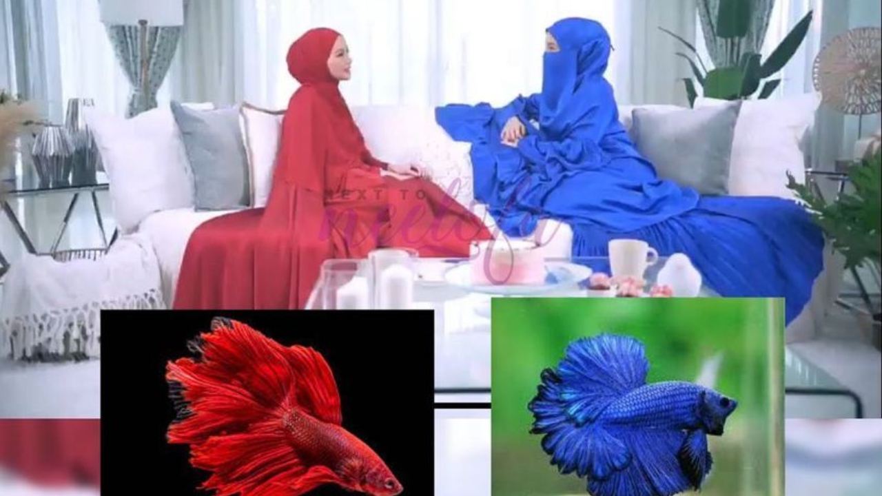 busana-neelofa-mira-filzah-disamakan-dengan-ikan-laga-netizen-back-up.jpg