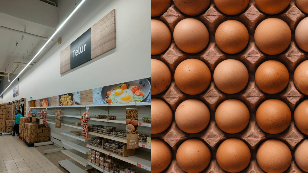 egg-shortage-malaysia.png