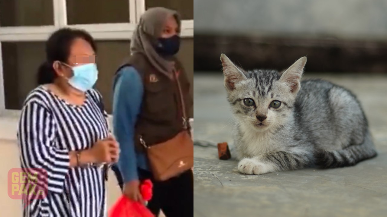 kucing_1.jpg